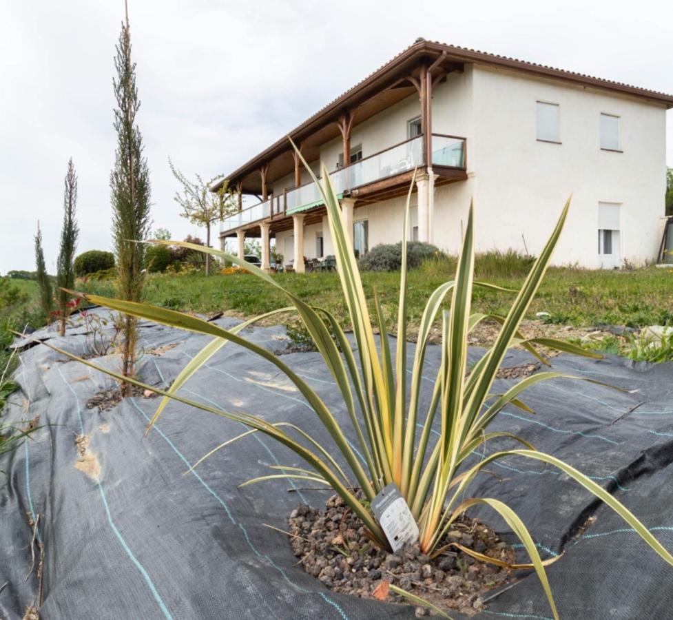 La Découverte, Jacuzzi, Sauna, et Terrasse avec vue sur lac à la campagne entre Toulouse et Auch Vila Catonvielle Exterior foto